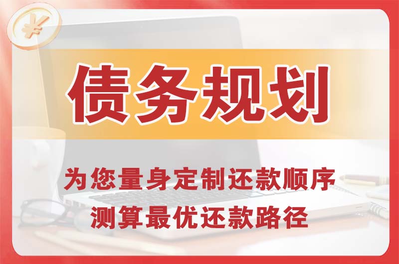 凤山债务规划